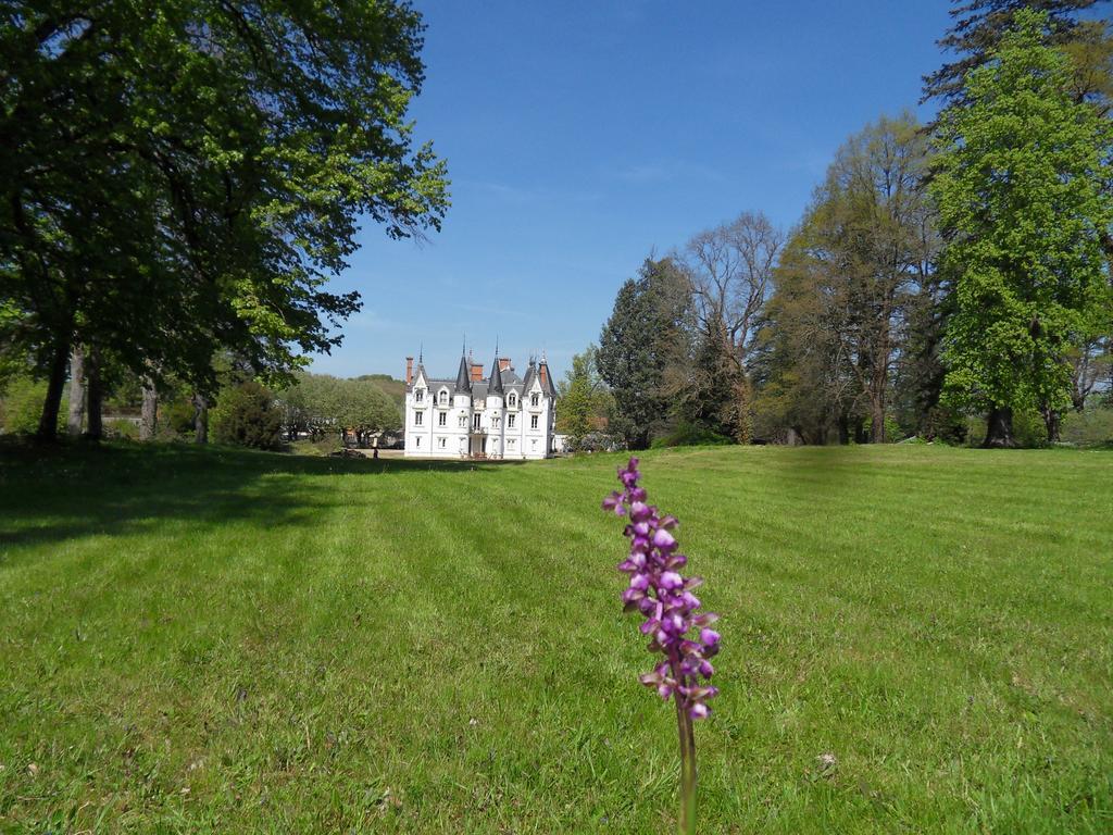 Chateau De La Motte Noailly Экстерьер фото